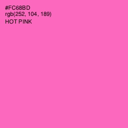 #FC68BD - Hot Pink Color Image