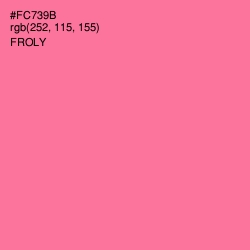 #FC739B - Froly Color Image