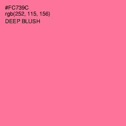 #FC739C - Deep Blush Color Image