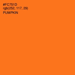 #FC751D - Pumpkin Color Image