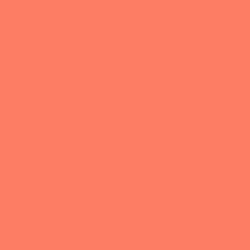 #FC7D63 - Sunglo Color Image