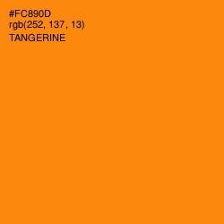 #FC890D - Tangerine Color Image