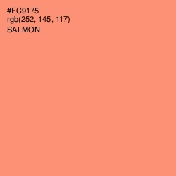 #FC9175 - Salmon Color Image