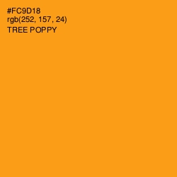 #FC9D18 - Tree Poppy Color Image