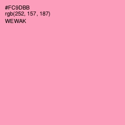 #FC9DBB - Wewak Color Image