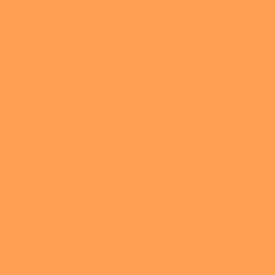 #FC9F53 - Tan Hide Color Image