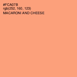 #FCA07B - Macaroni and Cheese Color Image