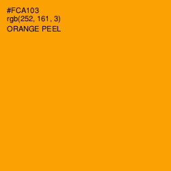 #FCA103 - Orange Peel Color Image