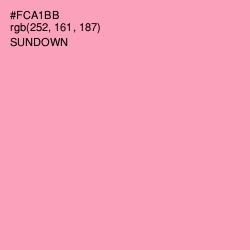 #FCA1BB - Sundown Color Image