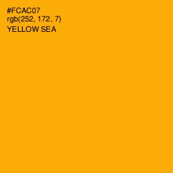 #FCAC07 - Yellow Sea Color Image