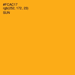 #FCAC17 - Sun Color Image