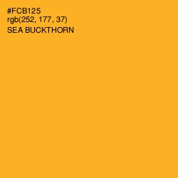 #FCB125 - Sea Buckthorn Color Image