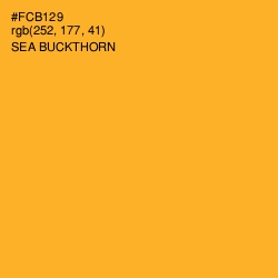 #FCB129 - Sea Buckthorn Color Image