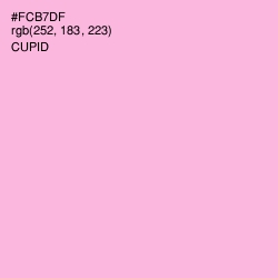 #FCB7DF - Cupid Color Image