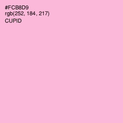 #FCB8D9 - Cupid Color Image