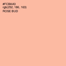#FCBAA3 - Rose Bud Color Image