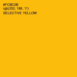 #FCBC0B - Selective Yellow Color Image