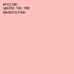 #FCC1BC - Mandys Pink Color Image