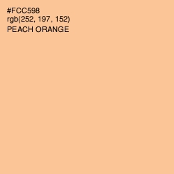 #FCC598 - Peach Orange Color Image