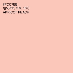 #FCC7BB - Apricot Peach Color Image