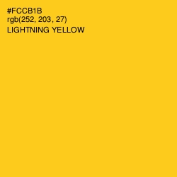 #FCCB1B - Lightning Yellow Color Image