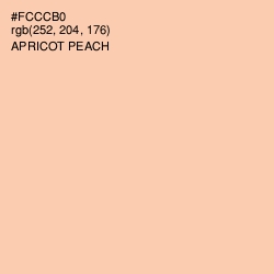 #FCCCB0 - Apricot Peach Color Image