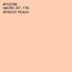 #FCCFB0 - Apricot Peach Color Image