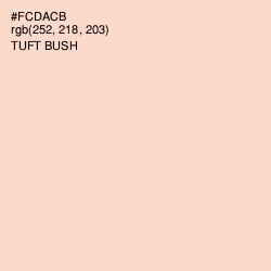 #FCDACB - Tuft Bush Color Image