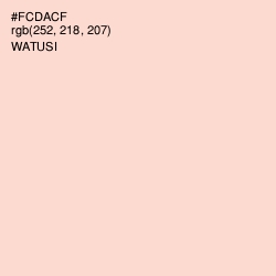 #FCDACF - Watusi Color Image