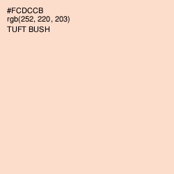 #FCDCCB - Tuft Bush Color Image