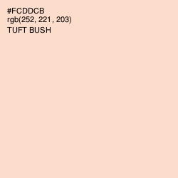 #FCDDCB - Tuft Bush Color Image