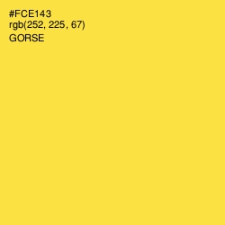 #FCE143 - Gorse Color Image