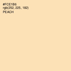 #FCE1B6 - Peach Color Image