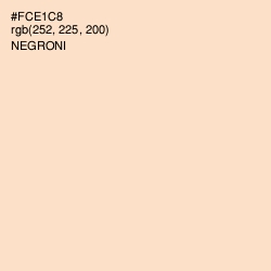 #FCE1C8 - Negroni Color Image