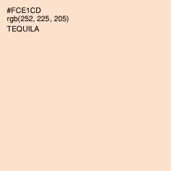 #FCE1CD - Tequila Color Image