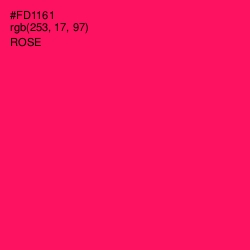 #FD1161 - Rose Color Image