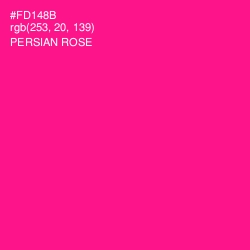 #FD148B - Persian Rose Color Image