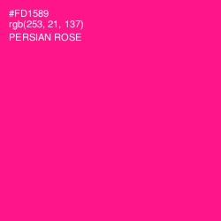 #FD1589 - Persian Rose Color Image