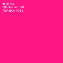 #FD1785 - Persian Rose Color Image