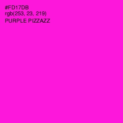 #FD17DB - Purple Pizzazz Color Image