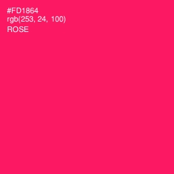 #FD1864 - Rose Color Image