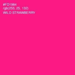 #FD1984 - Wild Strawberry Color Image