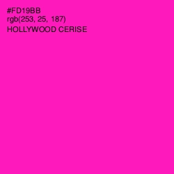 #FD19BB - Hollywood Cerise Color Image