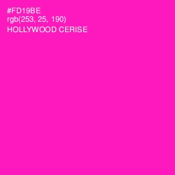 #FD19BE - Hollywood Cerise Color Image