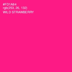 #FD1A84 - Wild Strawberry Color Image