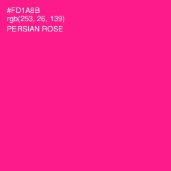 #FD1A8B - Persian Rose Color Image