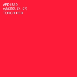 #FD1B39 - Torch Red Color Image