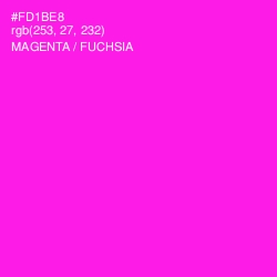 #FD1BE8 - Magenta / Fuchsia Color Image