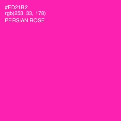#FD21B2 - Persian Rose Color Image
