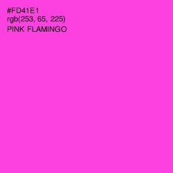 #FD41E1 - Pink Flamingo Color Image